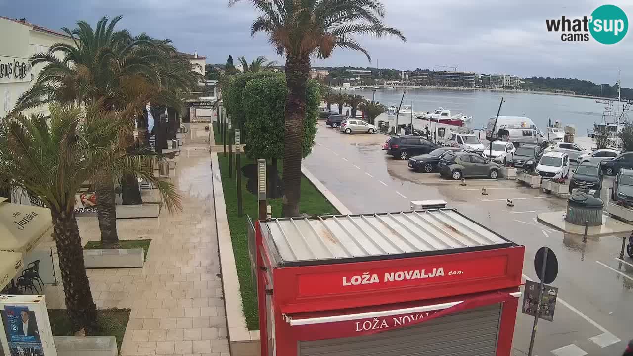 Spletna kamera Novalja – Obala Petra Krešimira IV