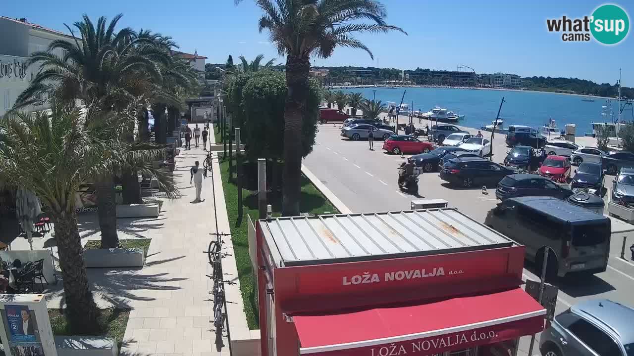 Live cam Novalja – Obala Petra Krešimira IV