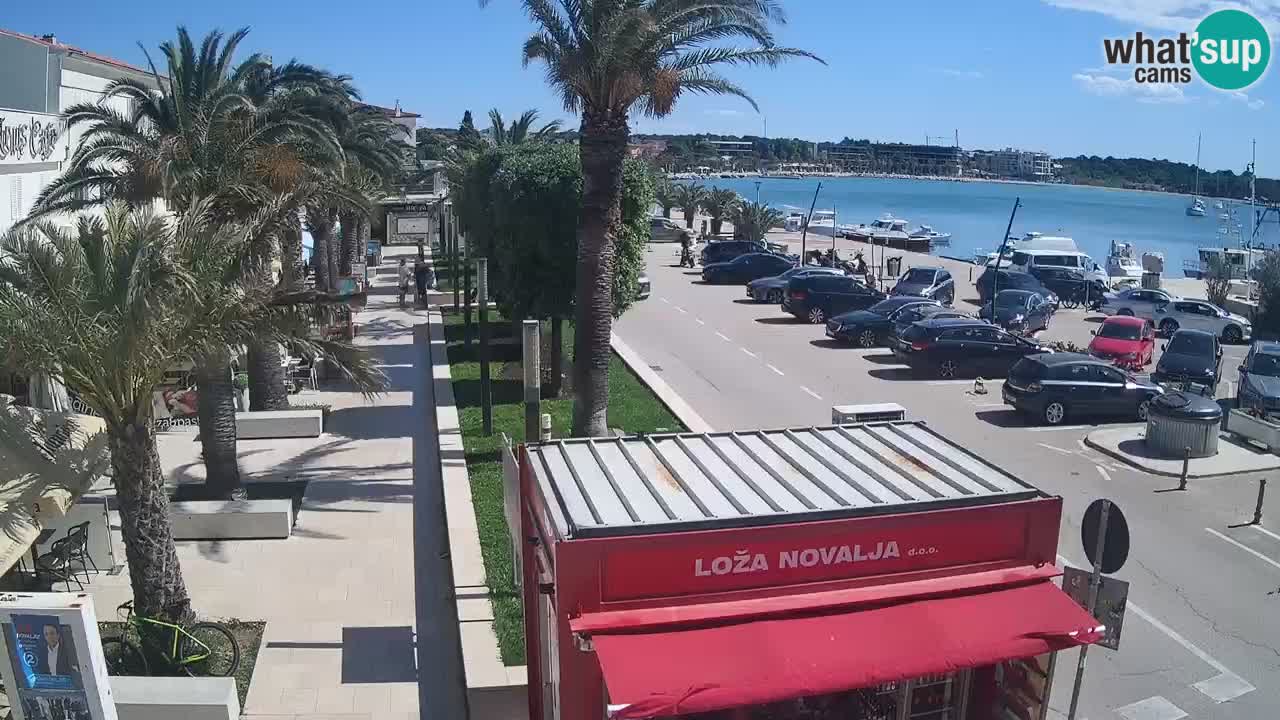 Camera en diecto Novalja – Obala Petra Krešimira IV