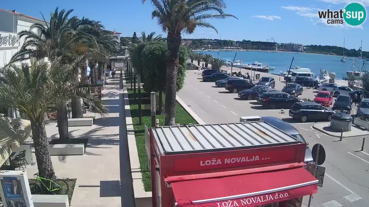 Camera en diecto Novalja – Obala Petra Krešimira IV