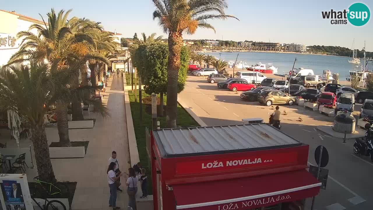 Camera en diecto Novalja – Obala Petra Krešimira IV