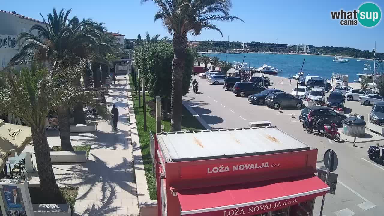 Web kamera Novalja – Obala Petra Krešimira IV