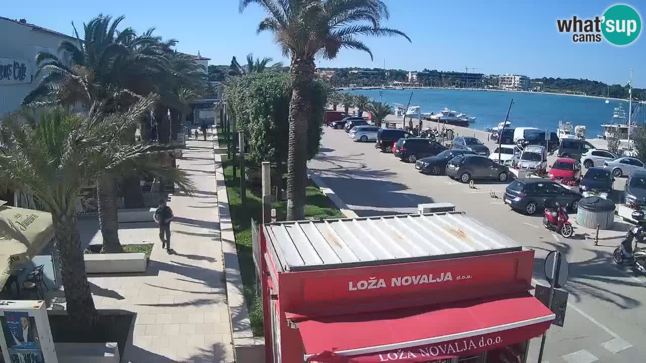 Camera en diecto Novalja – Obala Petra Krešimira IV