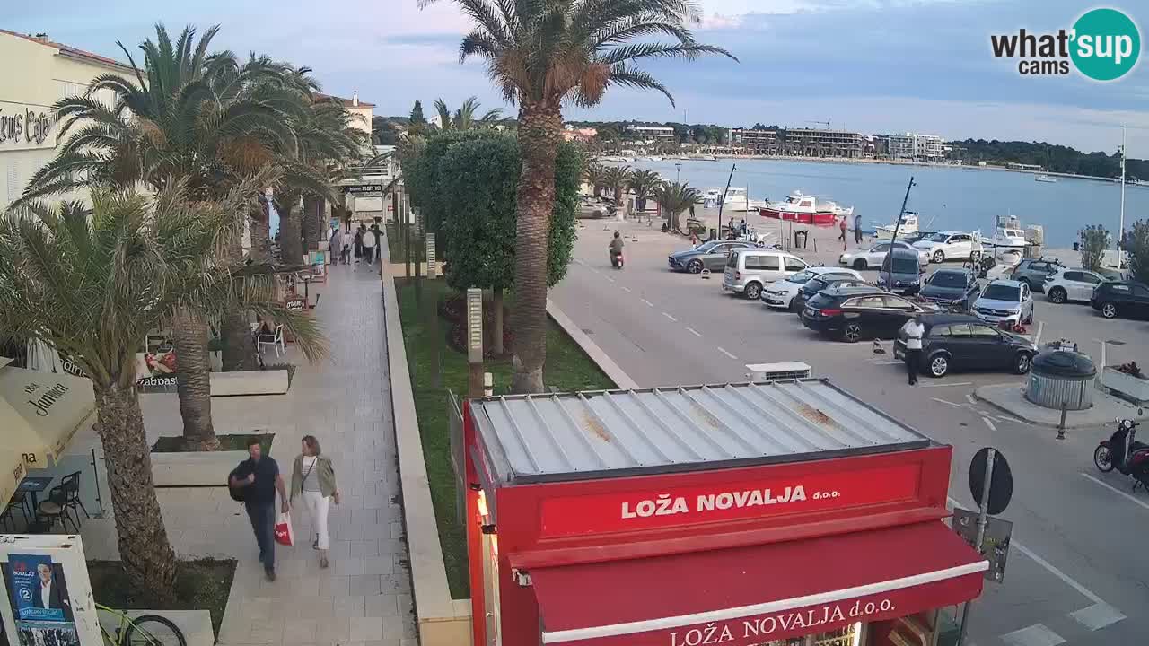 Camera en diecto Novalja – Obala Petra Krešimira IV
