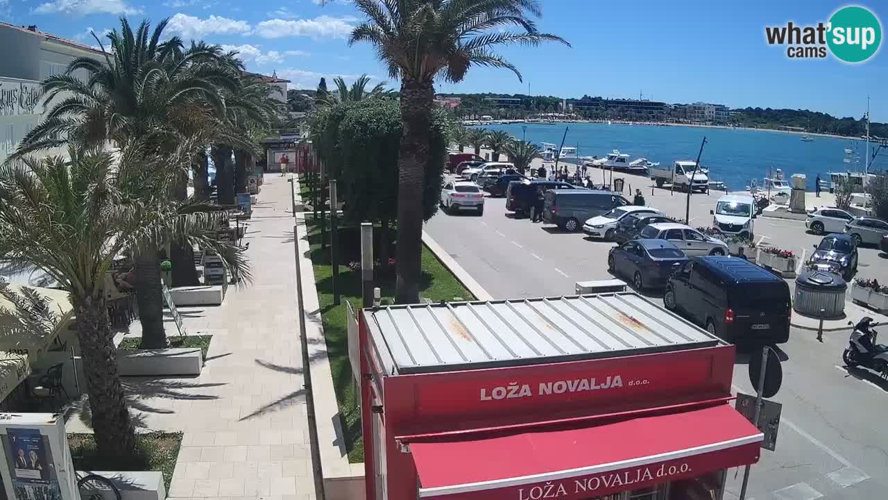 Webcam Novalja – Obala Petra Krešimira IV