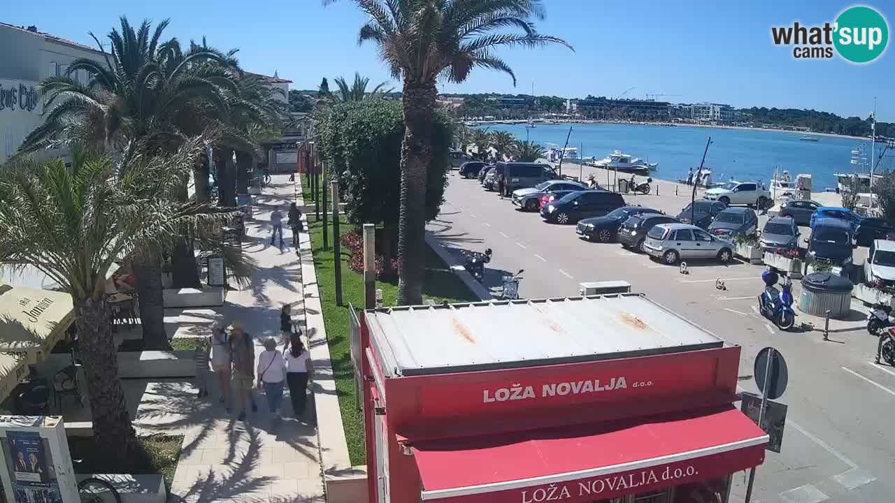 Camera en diecto Novalja – Obala Petra Krešimira IV