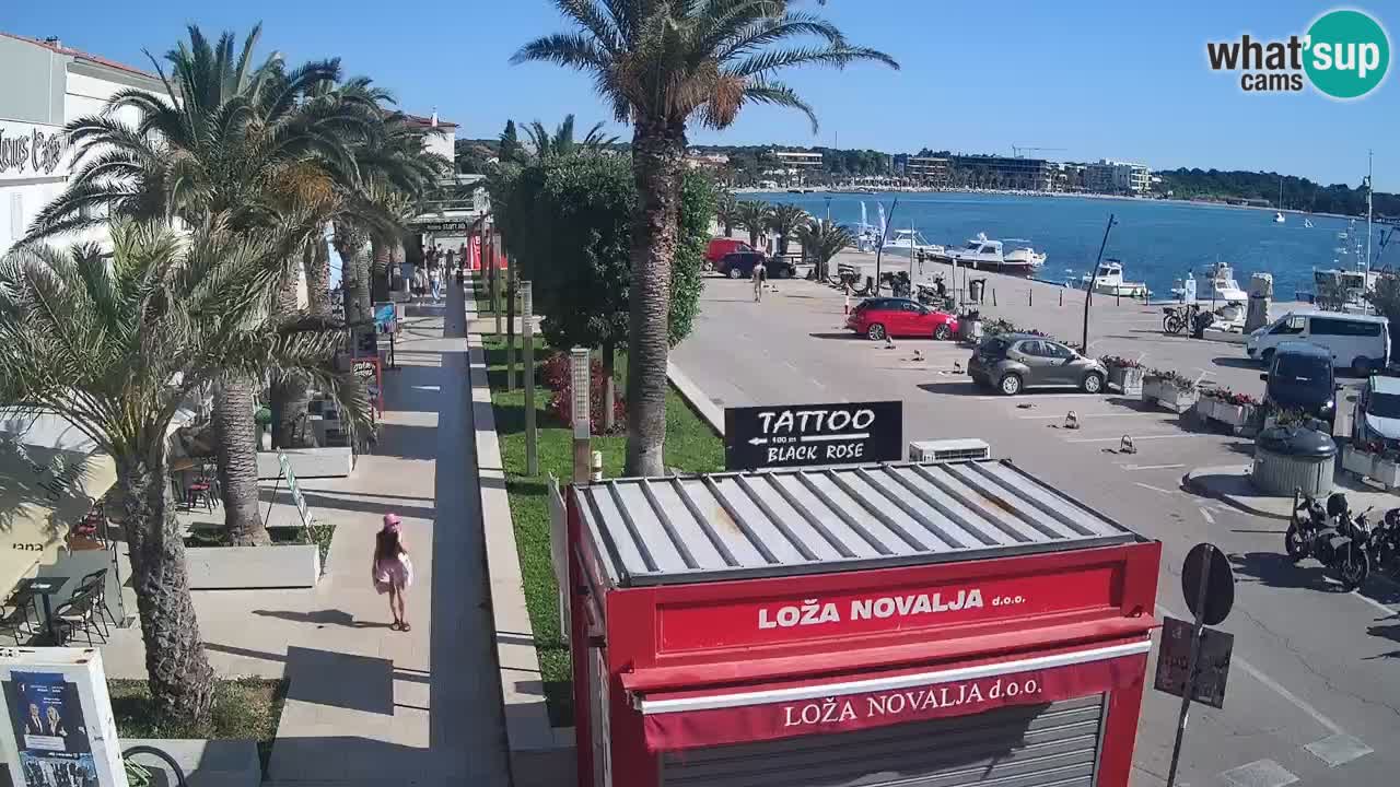 Live cam Novalja – Obala Petra Krešimira IV