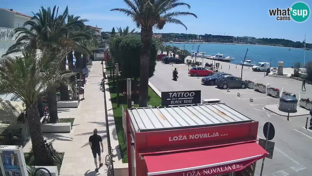 Live cam Novalja – Obala Petra Krešimira IV