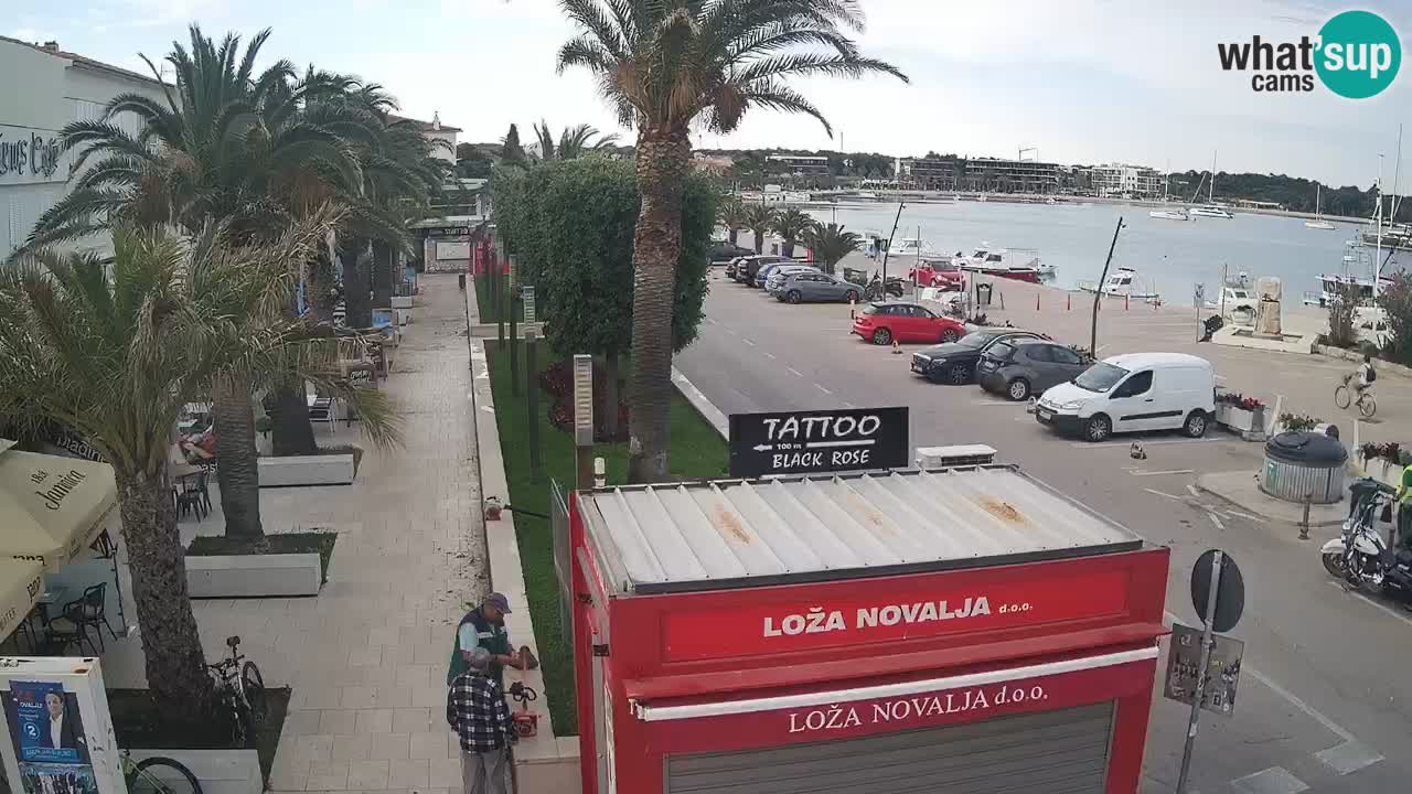 Live cam Novalja – Obala Petra Krešimira IV
