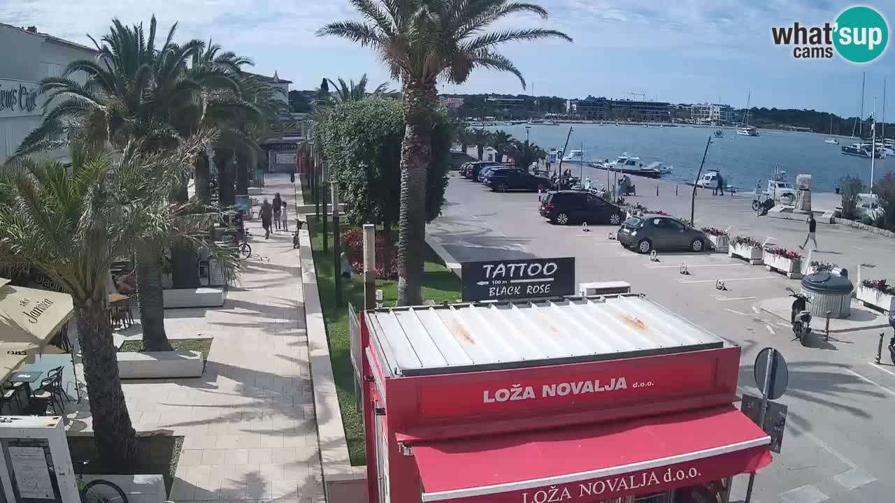 Webcam live Novalja – Obala Petra Krešimira IV
