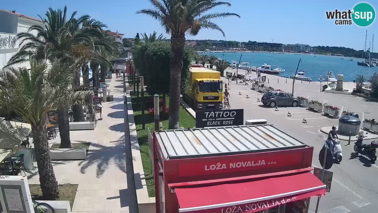Web kamera Novalja – Obala Petra Krešimira IV