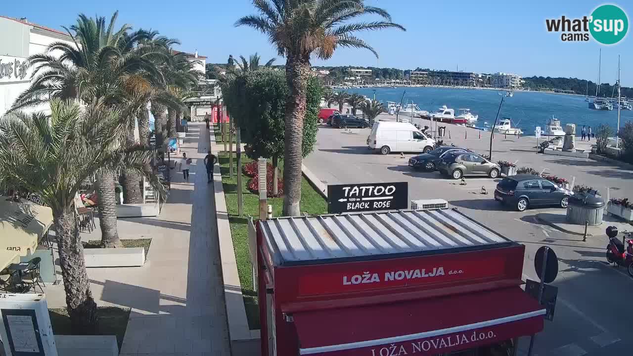 Live cam Novalja – Obala Petra Krešimira IV