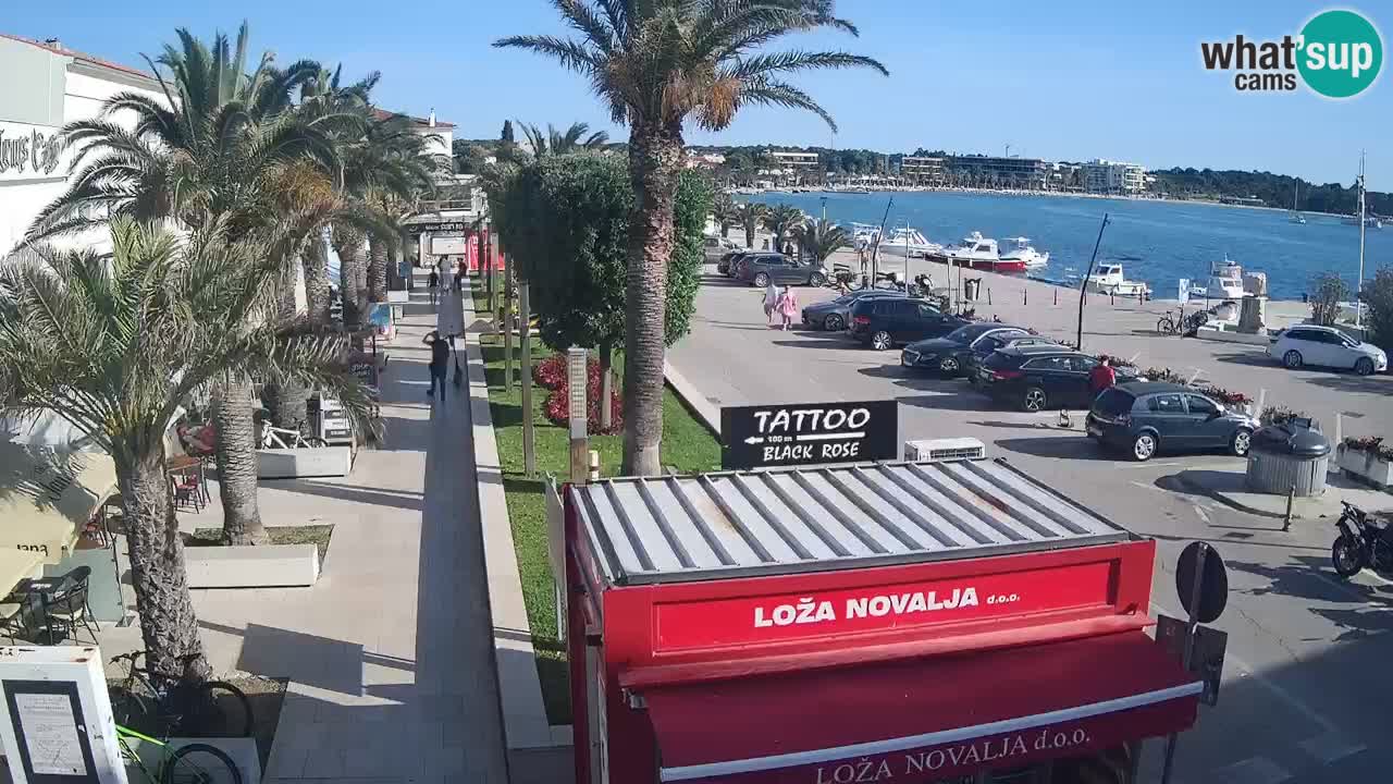 Webcam Novalja – Obala Petra Krešimira IV