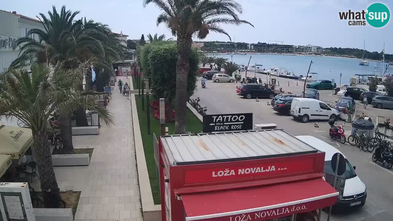 Webcam Novalja – Obala Petra Krešimira IV