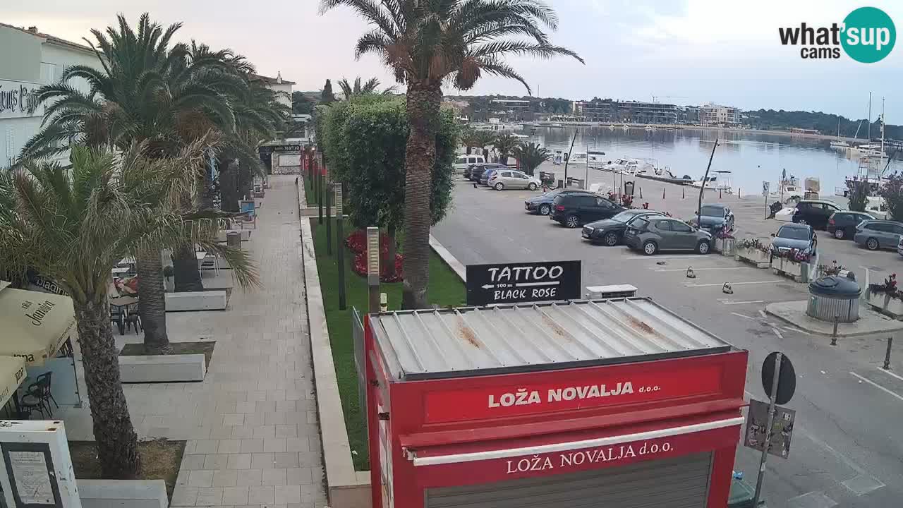 Spletna kamera Novalja – Obala Petra Krešimira IV