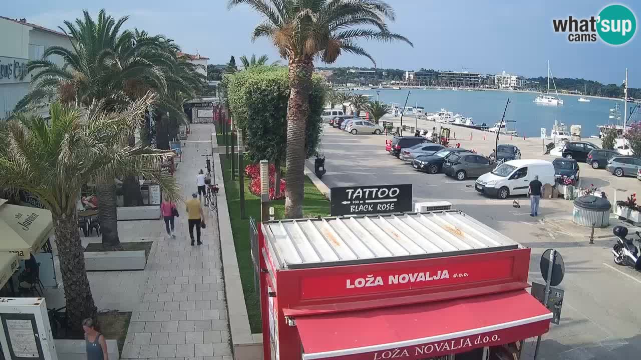 Camera en diecto Novalja – Obala Petra Krešimira IV