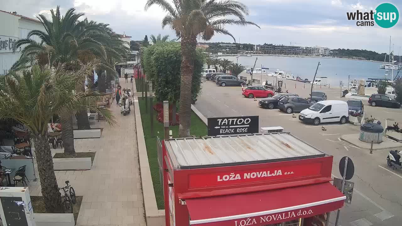 Spletna kamera Novalja – Obala Petra Krešimira IV