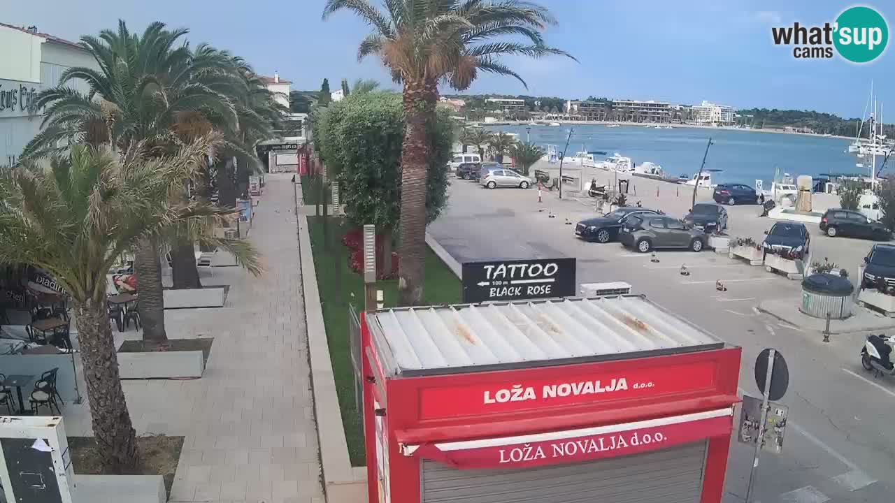 Camera en diecto Novalja – Obala Petra Krešimira IV