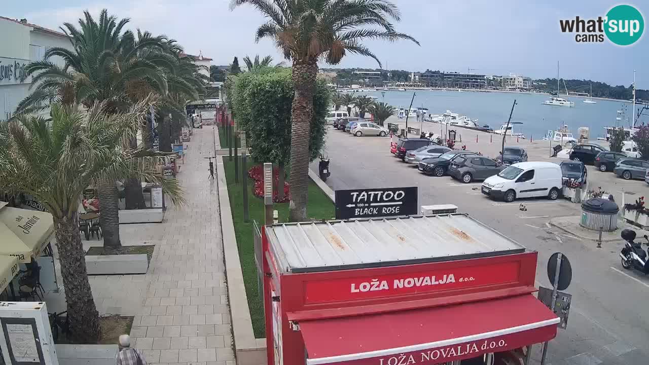 Webcam live Novalja – Obala Petra Krešimira IV
