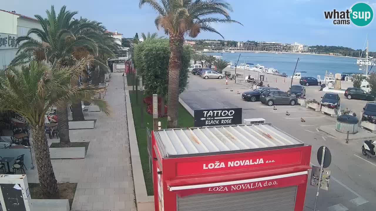 Camera en diecto Novalja – Obala Petra Krešimira IV