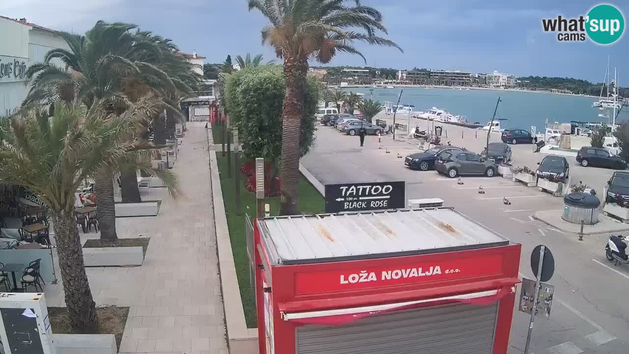 Camera en diecto Novalja – Obala Petra Krešimira IV
