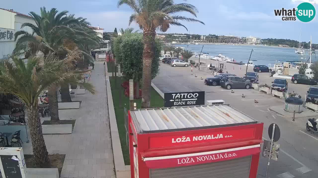 Camera en diecto Novalja – Obala Petra Krešimira IV