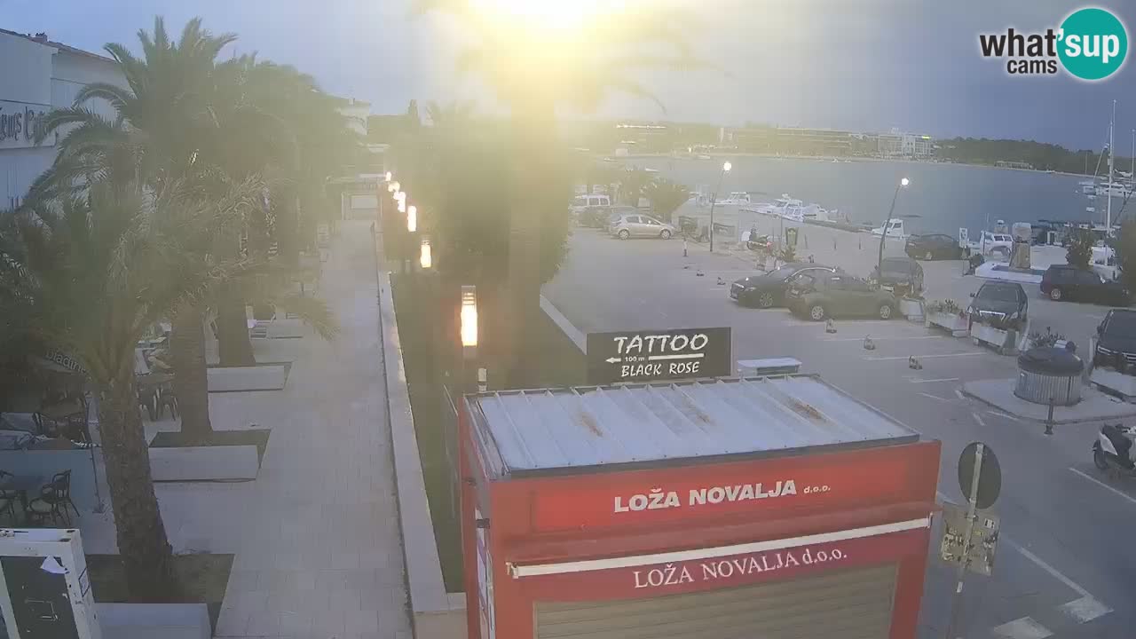 Camera en diecto Novalja – Obala Petra Krešimira IV