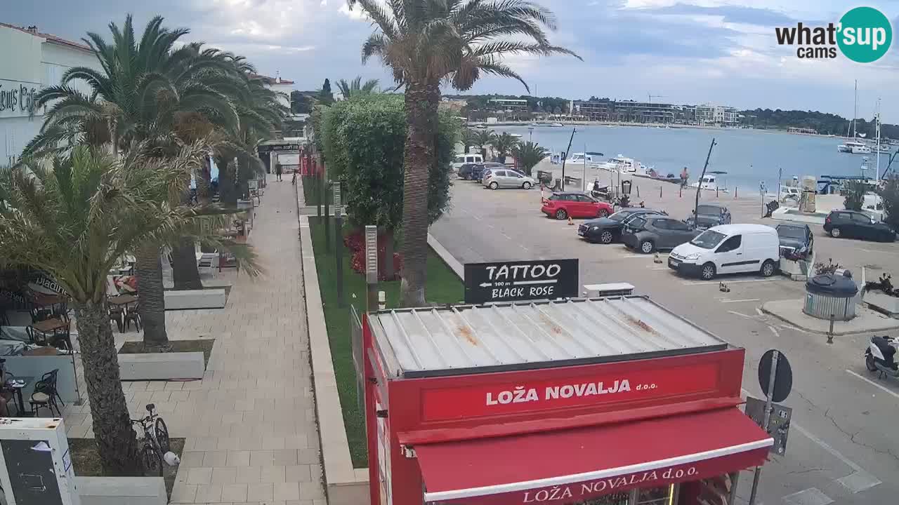 Camera en diecto Novalja – Obala Petra Krešimira IV