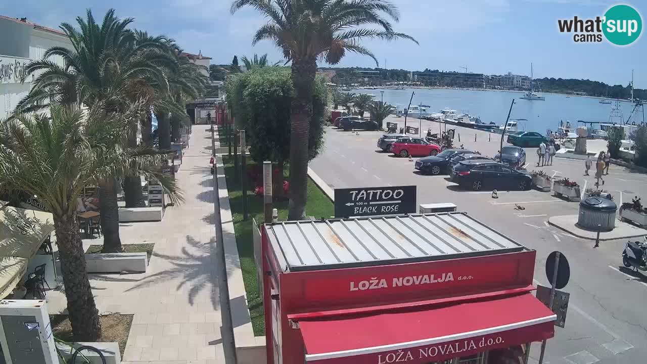 Live cam Novalja – Obala Petra Krešimira IV