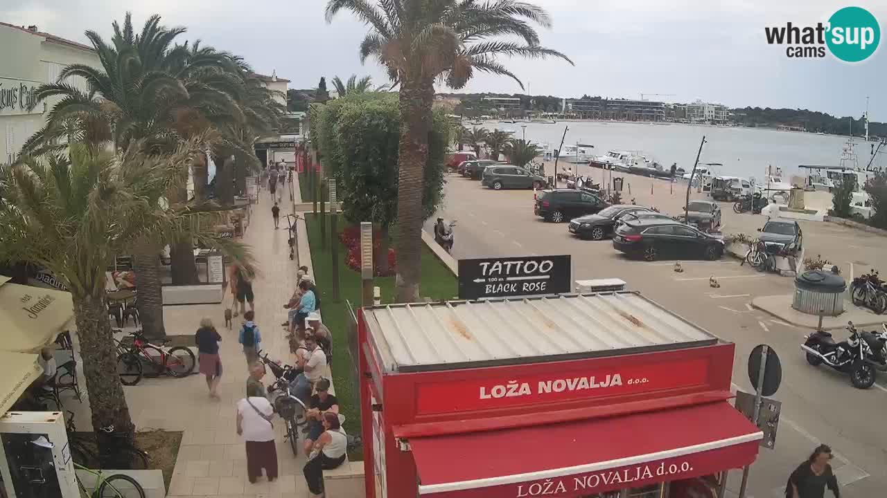 Webcam Novalja – Obala Petra Krešimira IV