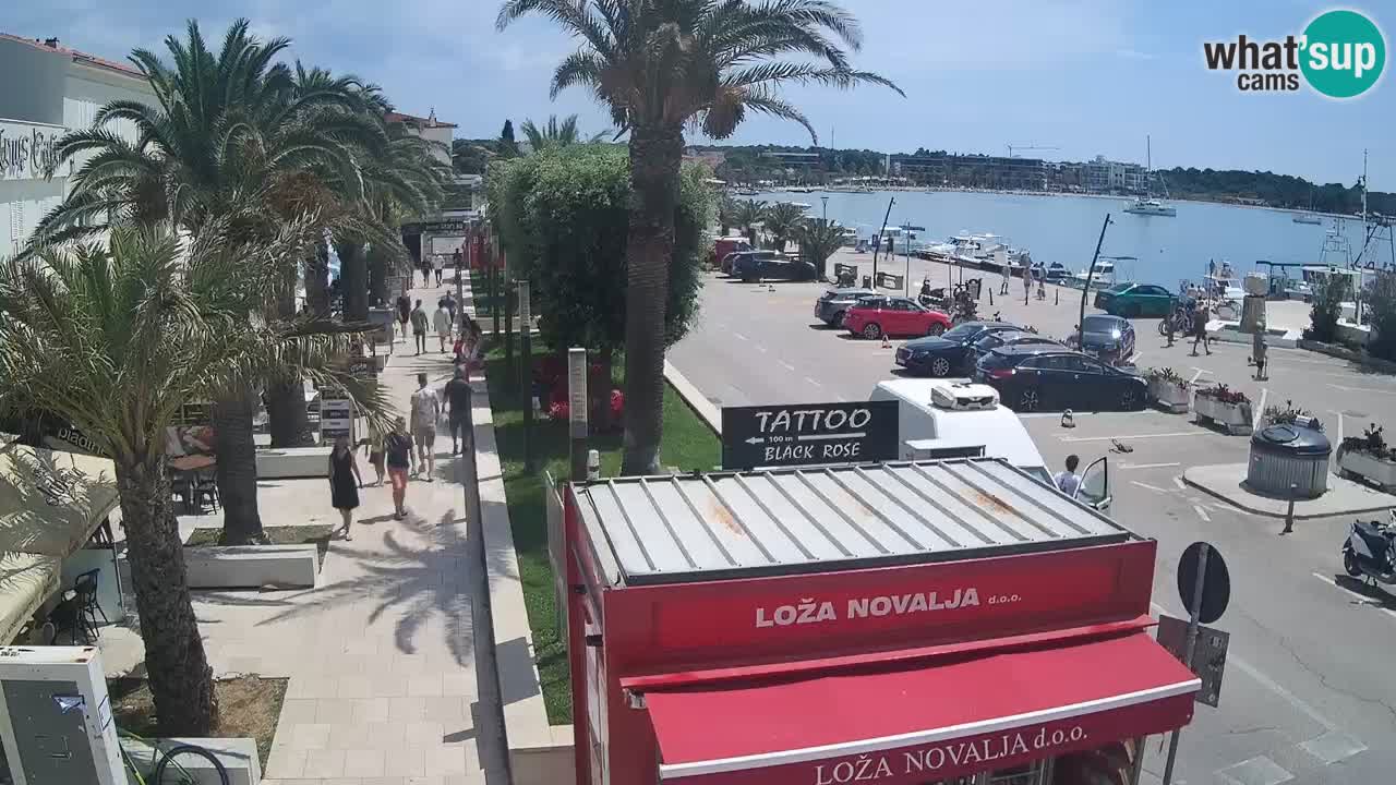 Live cam Novalja – Obala Petra Krešimira IV