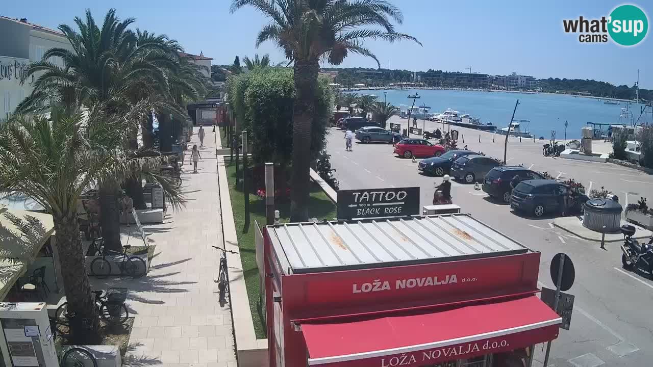 Webcam live Novalja – Obala Petra Krešimira IV