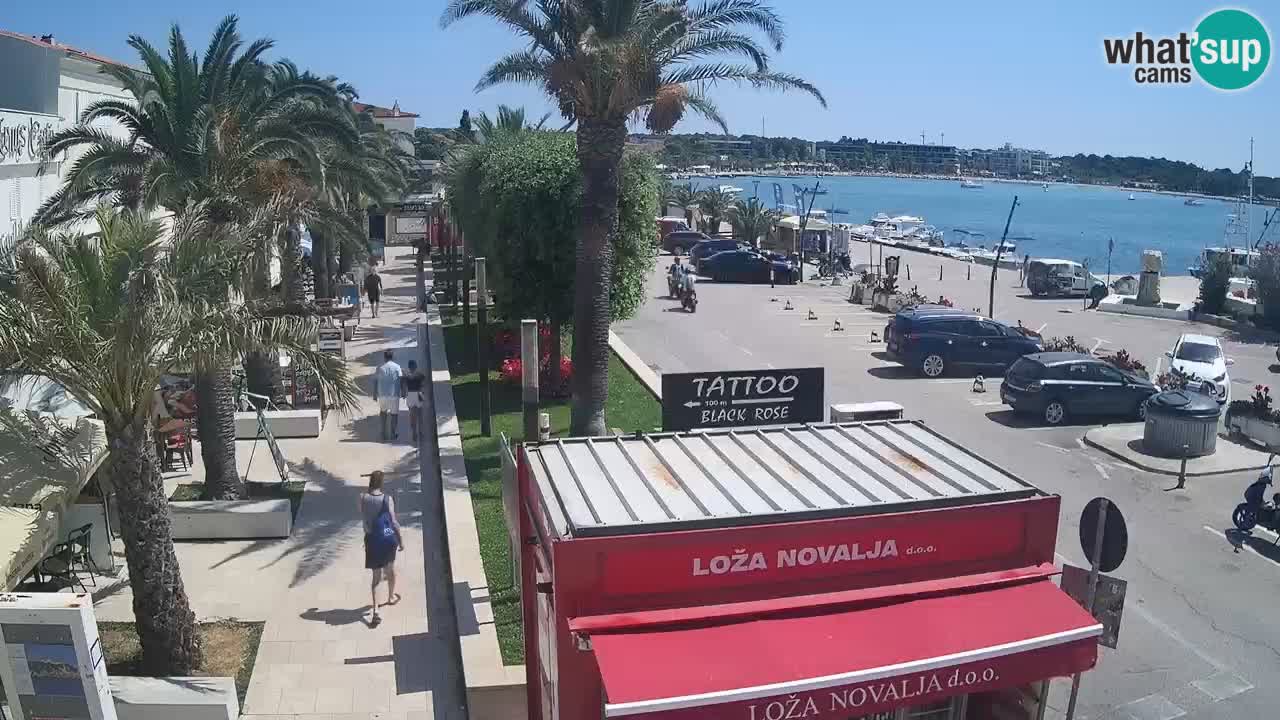 Spletna kamera Novalja – Obala Petra Krešimira IV