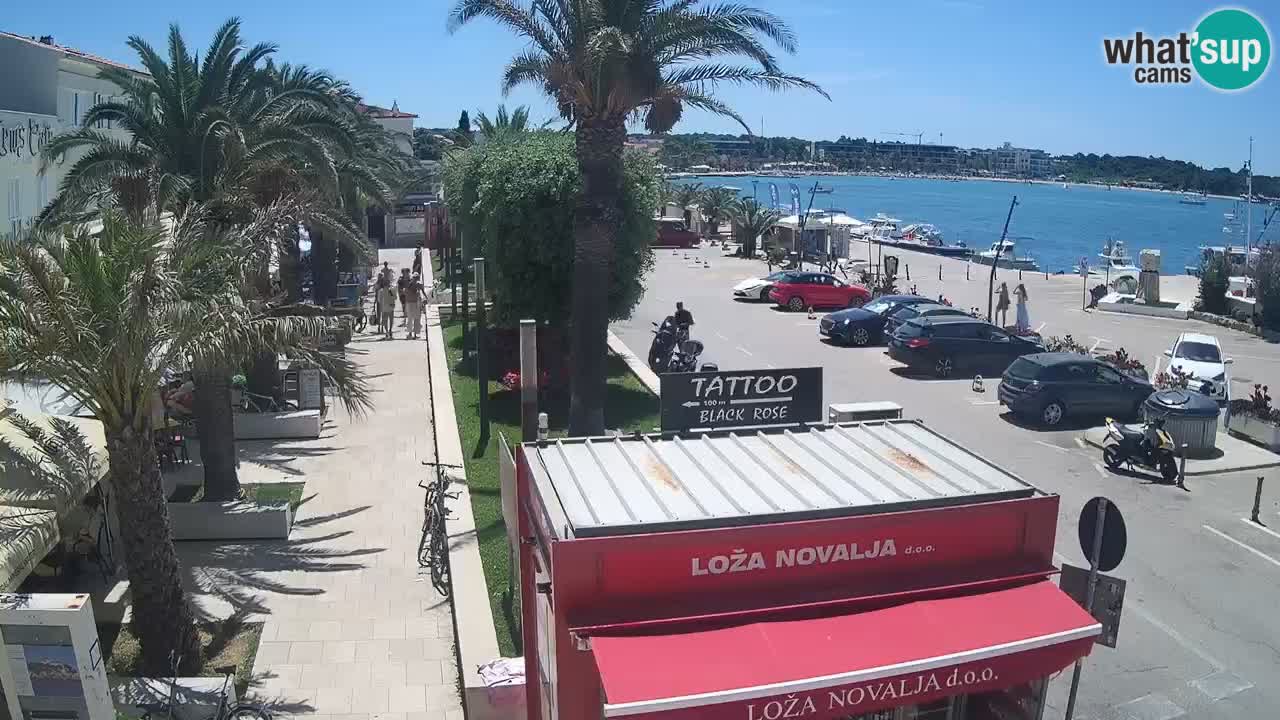Live cam Novalja – Obala Petra Krešimira IV