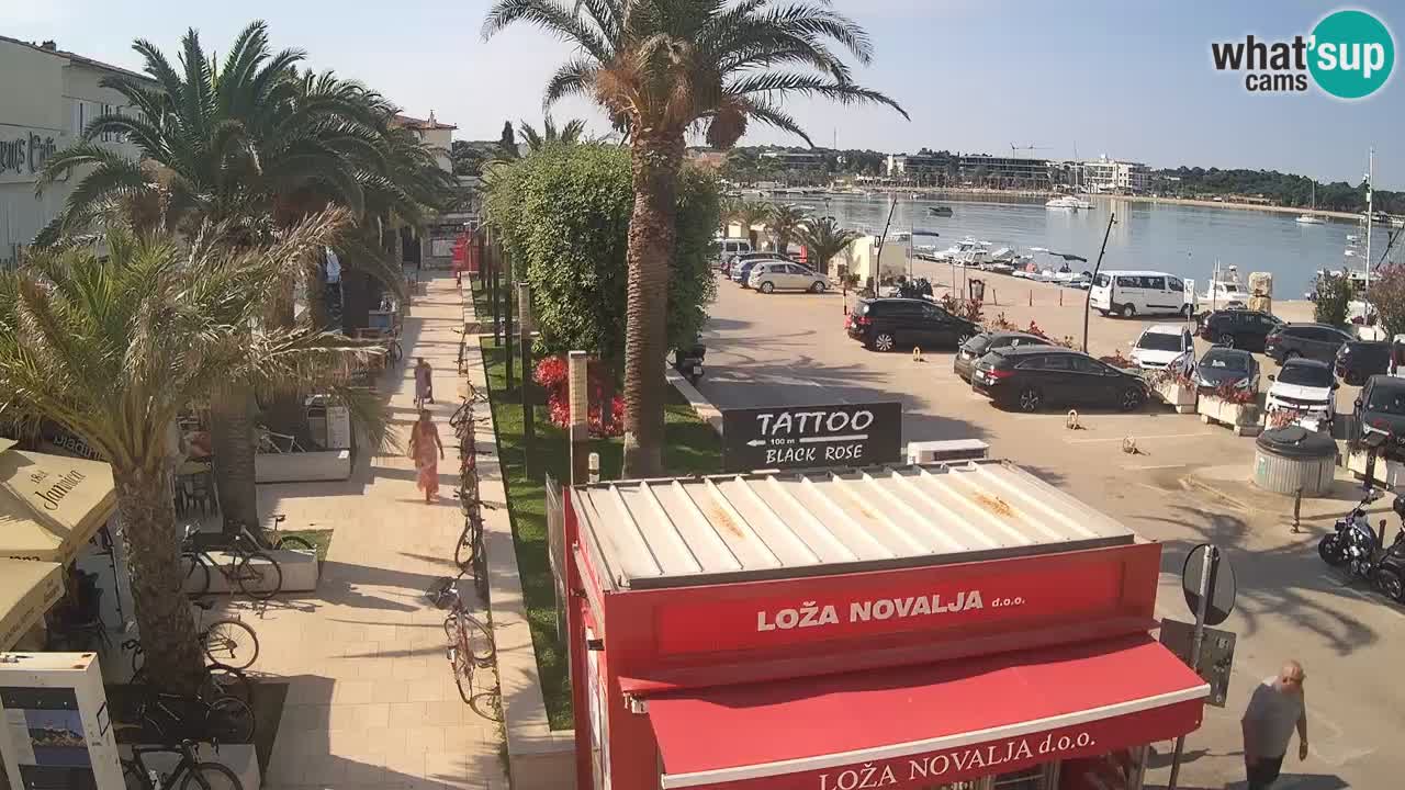 Live cam Novalja – Obala Petra Krešimira IV