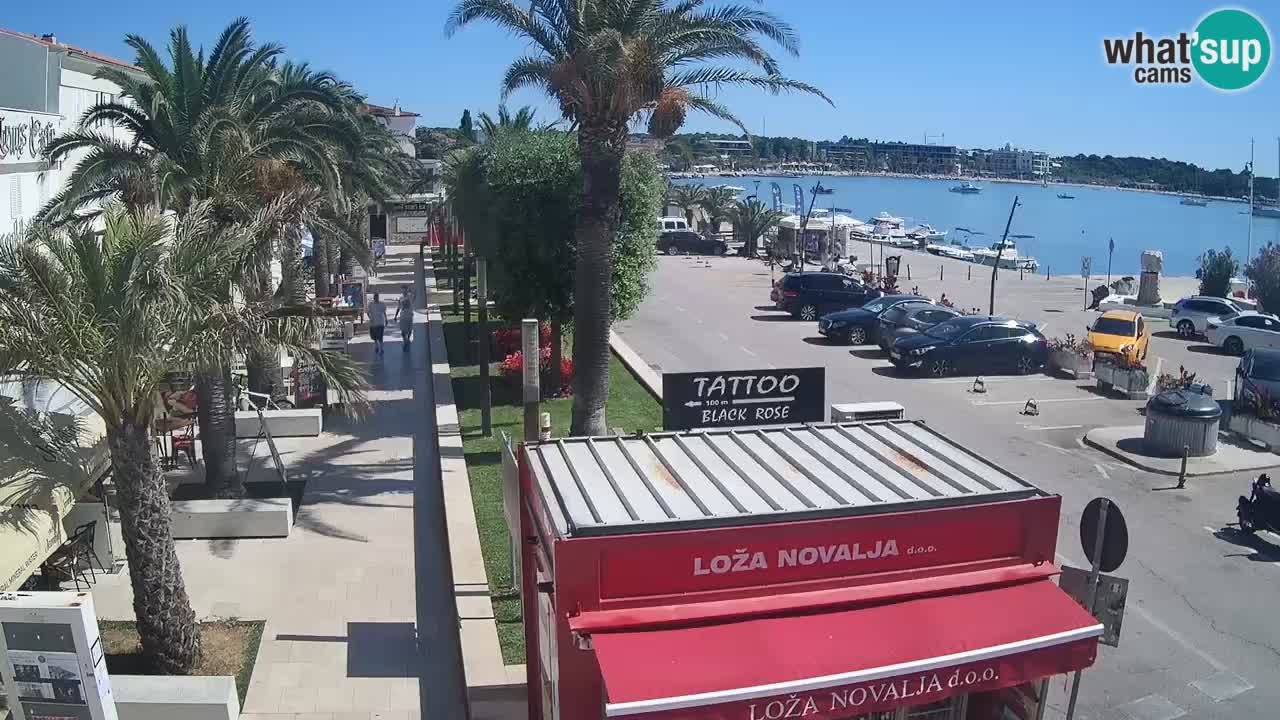 Camera en diecto Novalja – Obala Petra Krešimira IV