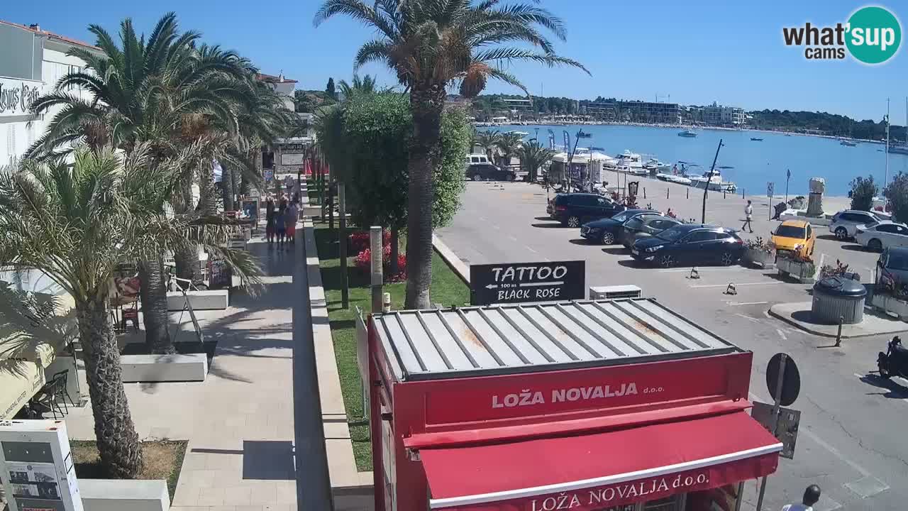 Live cam Novalja – Obala Petra Krešimira IV