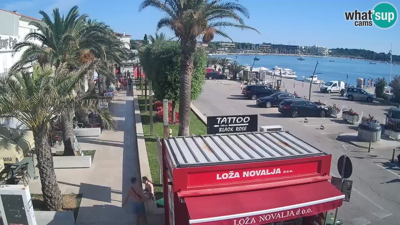 Spletna kamera Novalja – Obala Petra Krešimira IV