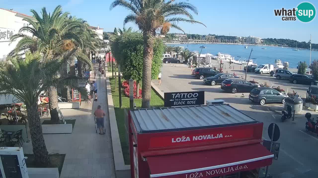 Web kamera Novalja – Obala Petra Krešimira IV