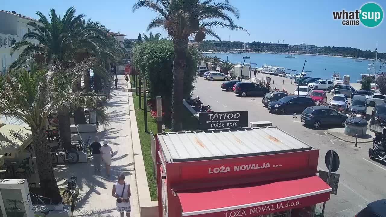 Webcam live Novalja – Obala Petra Krešimira IV
