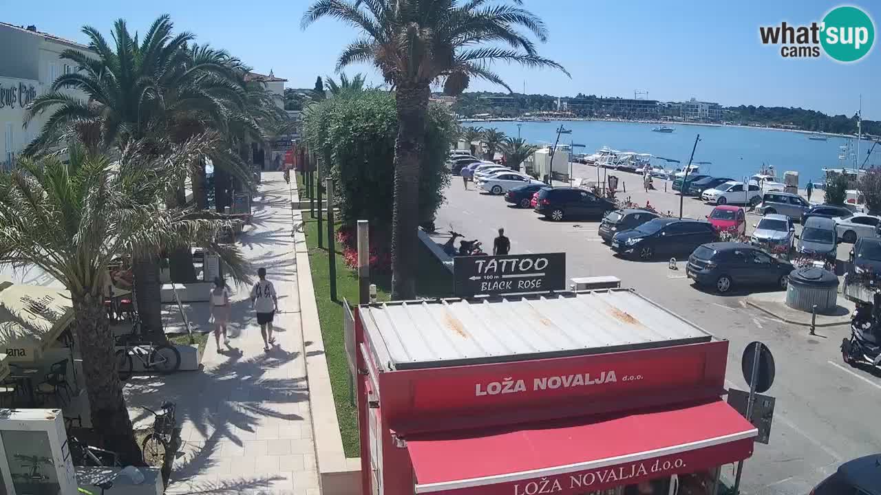Live cam Novalja – Obala Petra Krešimira IV