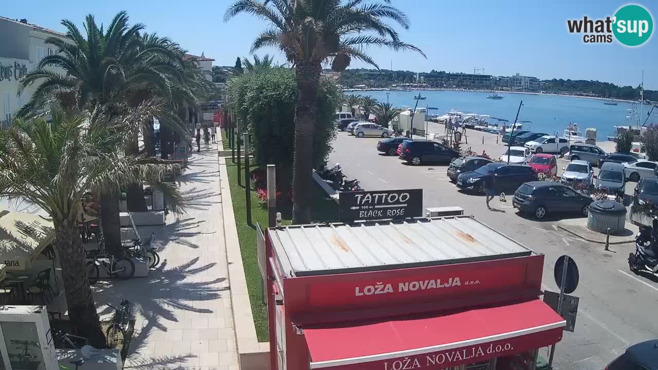 Live cam Novalja – Obala Petra Krešimira IV