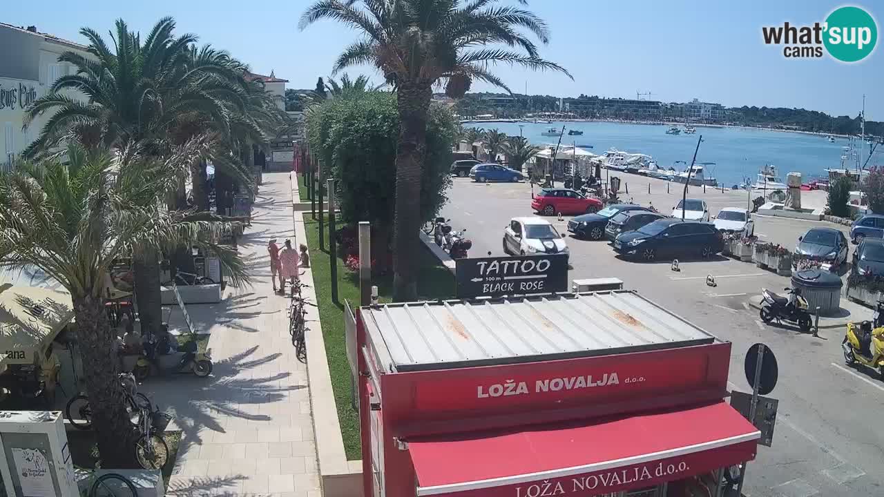Spletna kamera Novalja – Obala Petra Krešimira IV