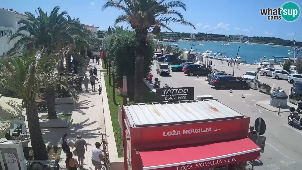 Live cam Novalja – Obala Petra Krešimira IV
