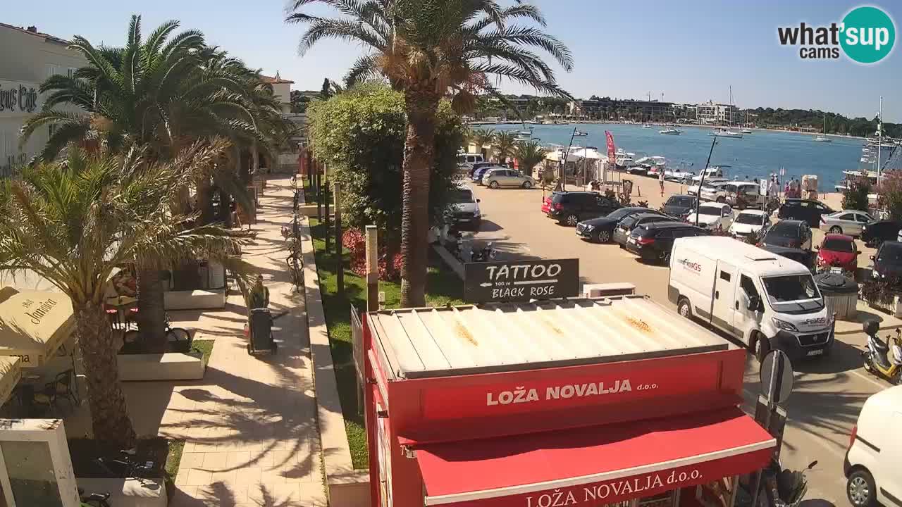 Camera en diecto Novalja – Obala Petra Krešimira IV