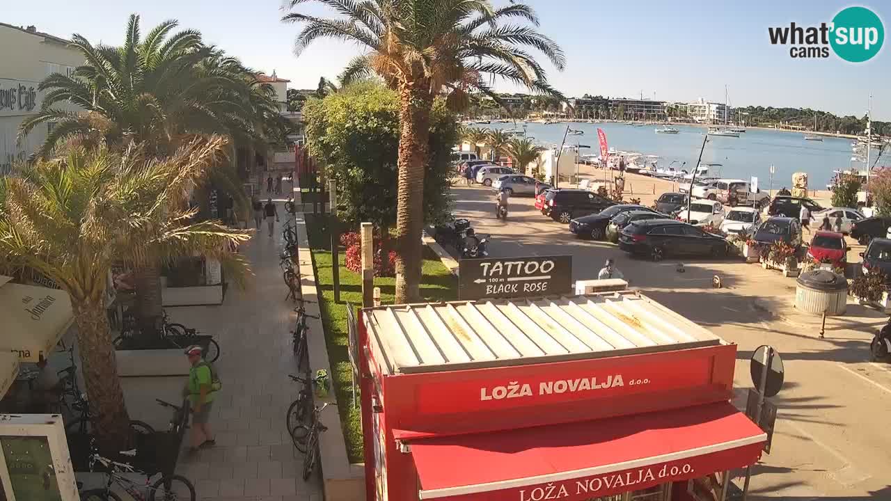 Live cam Novalja – Obala Petra Krešimira IV