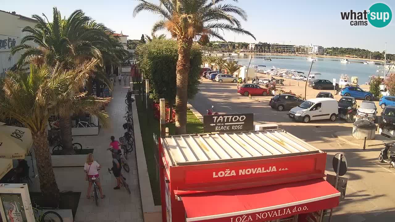Webcam live Novalja – Obala Petra Krešimira IV