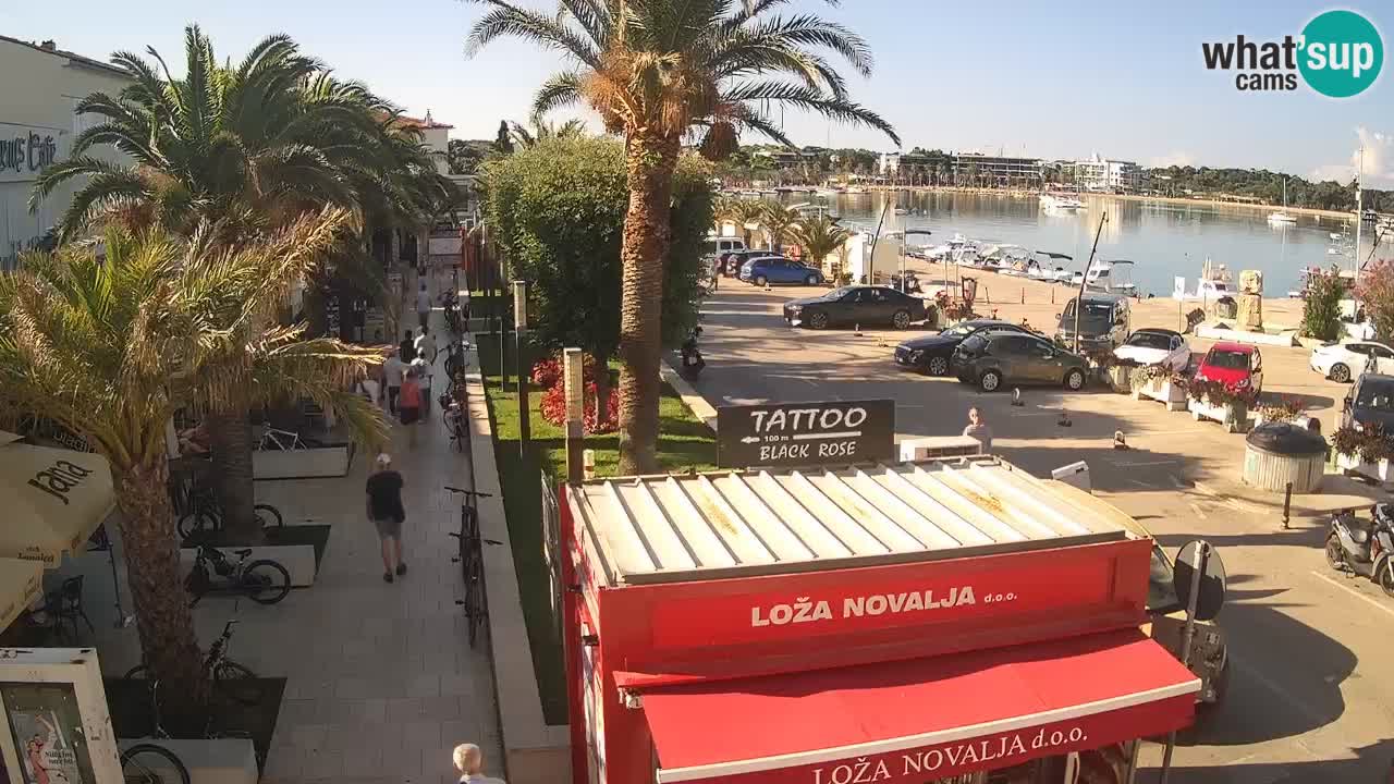 Live cam Novalja – Obala Petra Krešimira IV