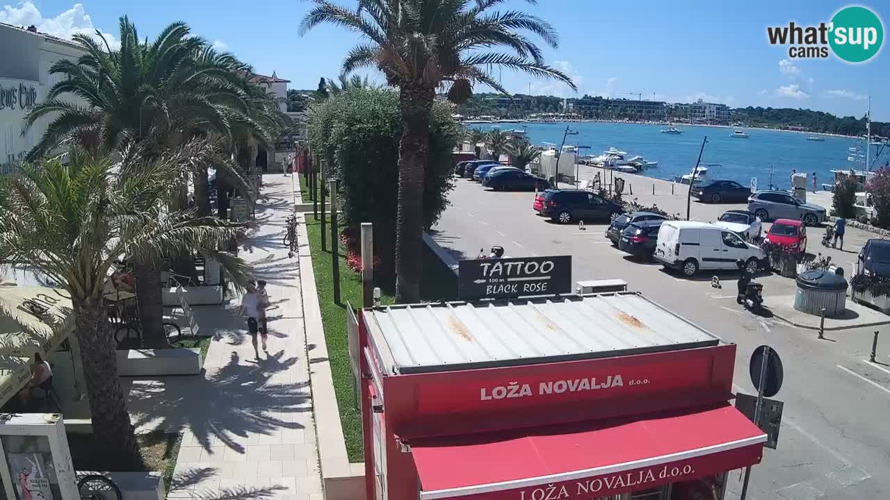 Live cam Novalja – Obala Petra Krešimira IV