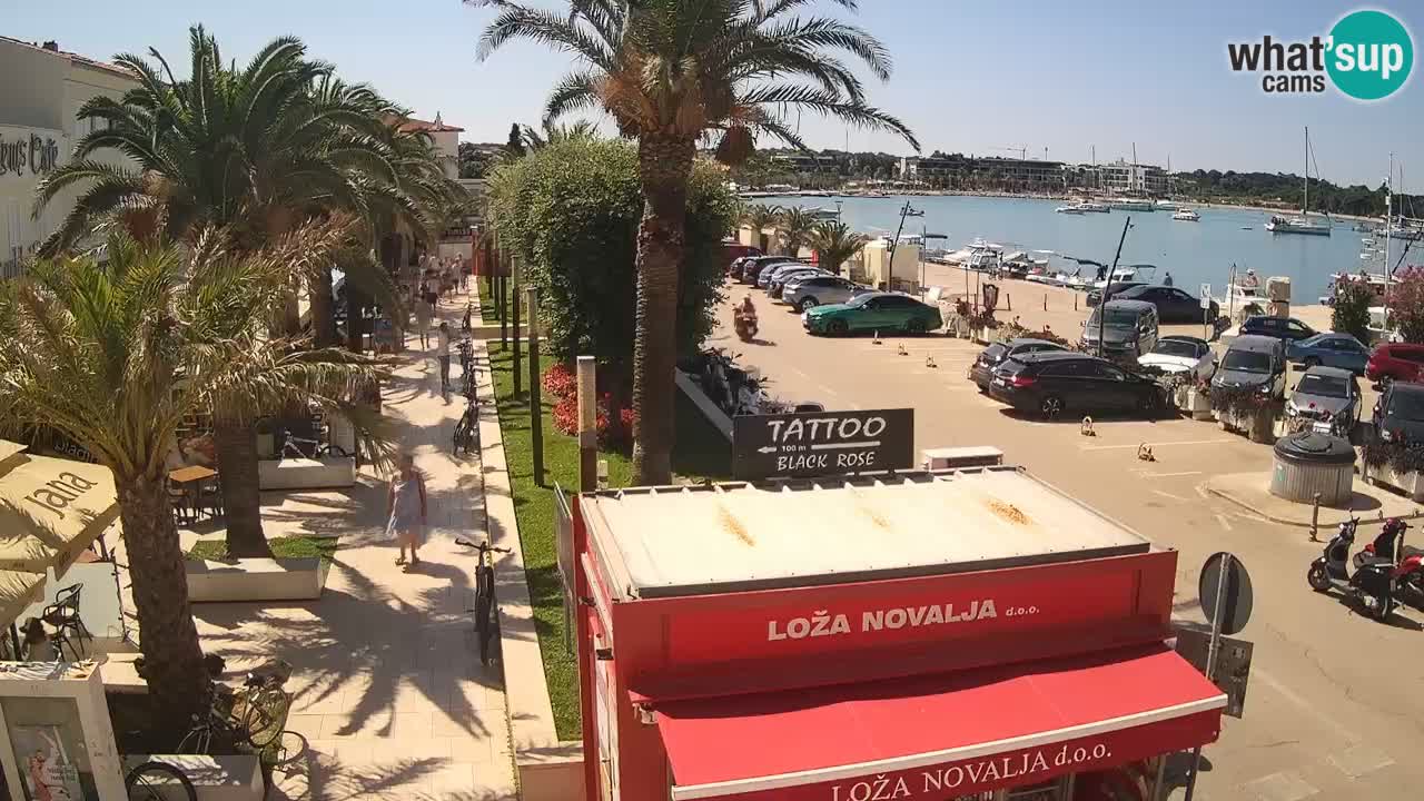 Camera en diecto Novalja – Obala Petra Krešimira IV